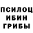 Псилоцибиновые грибы Magic Shrooms Kim Malm