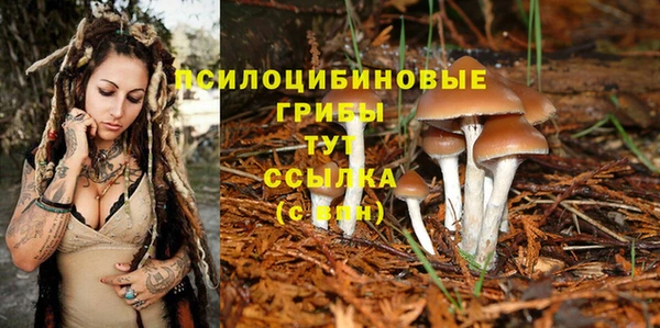 mdma Зеленокумск