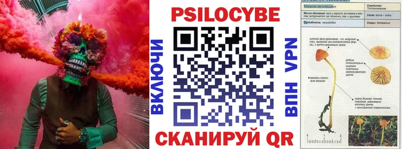 Псилоцибиновые грибы Magic Shrooms Купить где Минеральные Воды